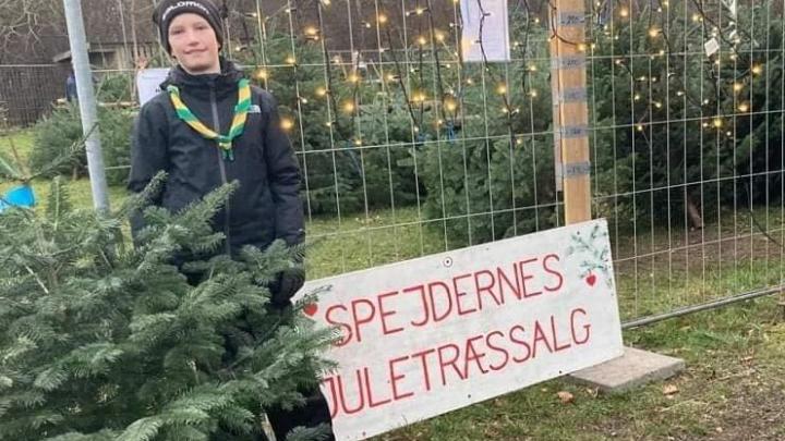 Spejderne sælger juletræer i Køge